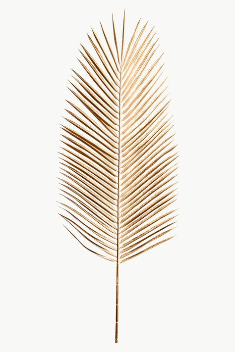 Areca palm leaf painted in gold design element | free image by rawpixel.com / Teddy Rawpixel Palm Leaf Painting, Wedding Vow Art, Off White Background, Coconut Leaves, Flower Graphic Design, Areca Palm, Tumblr Backgrounds, Golden Leaf, Paper Background Texture