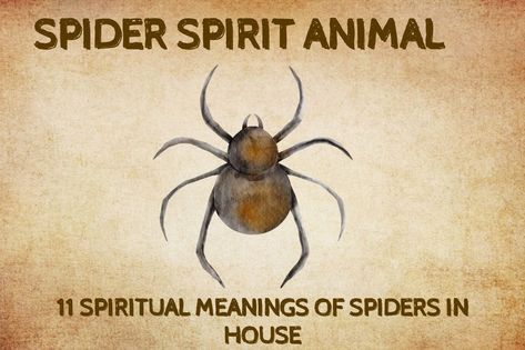 Some people are fascinated by spiders while others find them abhorrent – but either way, they are also powerfully symbolic, and if you see one in your house, you can be sure that it brings Spider Totem Meaning, Spider Symbolism, Spirit Animal Test, Raven Spirit Animal, Cat Spirit Animal, Spirit Animal Quiz, Animal Quiz, Wall Watch, Creative Jobs