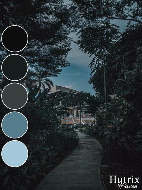 This color palette consists of 5 colors; Smoky Black (#0C0C0D), Eerie Black (#171C1D), Black Olive (#3A403F), Steel Teal (#567D8C), and Pale Cerulean (#A3C9D9). These deep, cool colors match well together and ought to spice up any project or design you're working on. The image used was provided by Dom (@domediocre) on Unsplash.com and is useable under the Creative Commons CC0 and Unsplash License. Philippines Aesthetic, Aesthetic Color Palette, Black Color Palette, Davao City, Aesthetic Color, Blue Nature, Nature Color Palette, Cool Colors, Davao