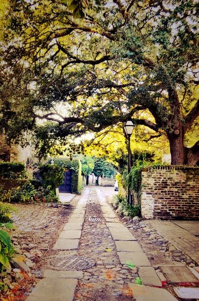 54 Church St Charleston Travel, Charleston Homes, Kiawah Island, Quiet Beach, Golf Resort, Gorgeous Gardens, Island Resort, Unique Things, Walking In Nature