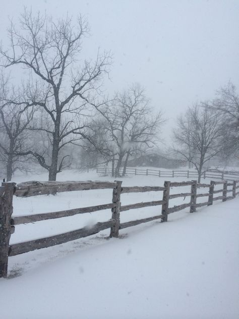 Winter Farm Photography, Snowy Farm Aesthetic, Winter On The Farm, Winter Farm Aesthetic, Snowy Farm, Orbiting Jupiter, Lovelight Farms, Midwest Winter, Gemma Jones