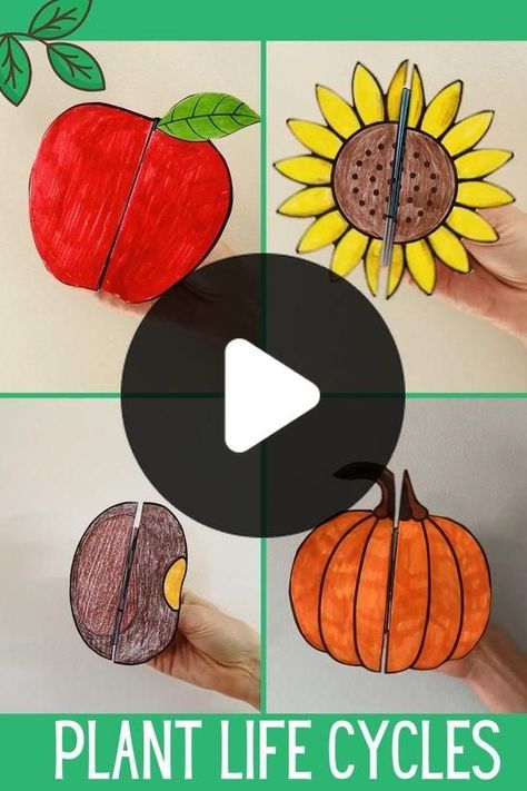 Plant Life Cycles, Sequencing Activities, A Worksheet, Pumpkin Apple, Pdf Templates, Cut And Paste, Life Cycle, Life Cycles, Cool Cards