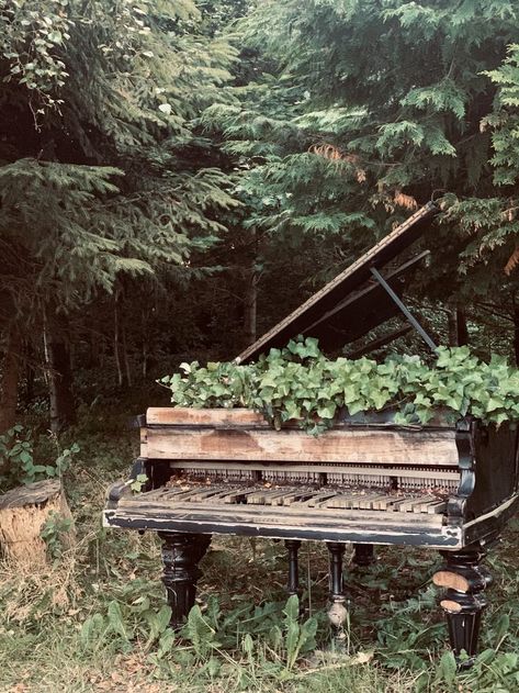 Old Music Aesthetic, Abandoned Piano, Piano Photo, Snow Tattoo, Old Piano, Apocalypse Aesthetic, Art Alevel, Tattoos Mandala, Old Pianos