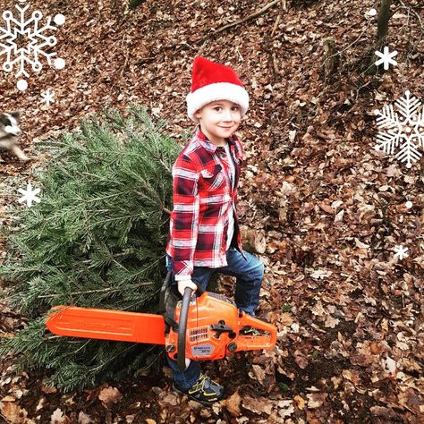 Toddler Christmas Photos, Fun Family Portraits, Toddler Pictures, Holidays With Toddlers, Christmas Tree Pictures, Christmas Card Pictures, Xmas Pictures, Christmas Shoot, Santa Pictures