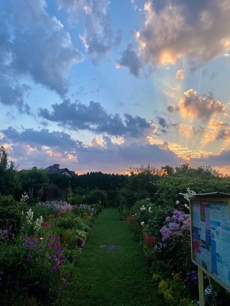 Eastern Europe Countryside, Summer Eastern Europe, Eastern European Summer Aesthetic, Eastern Europe Aesthetic Summer, Romanian Snacks, Eastern Europe Summer, Eastern European Summer, Poland Countryside, Eastern European Aesthetic