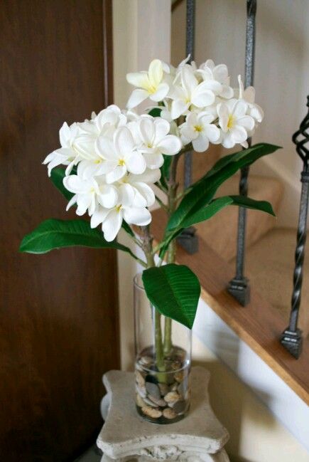 Tropical Plumeria Frangipani in Glass Vase with Acrylic Water & River Rocks www.chicagosilkflorist.com #tropicalflowers #Hawaii #plumeria #luxurysilkflowers Frangipani Flower Arrangement, Diy Silk Flower Arrangements, Hawaii Flowers, Hawaiian Plumeria, Rose Gold Flower, Diy Arrangements, Faux Flower Arrangements, Garden Painting, Japanese Flowers