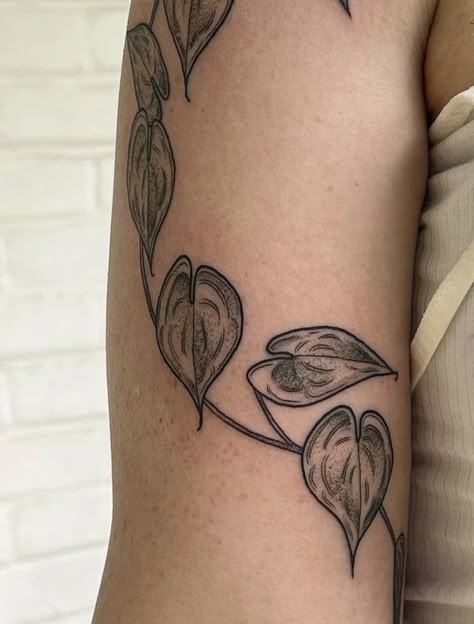 Foliage Filler Tattoo, Pathos Tattoo Sleeve, Frog On Leaf Tattoo, Trailing Plant Tattoo, Devils Ivy Tattoo, Shoulder Plant Tattoo, Pathos Plant Tattoo, Monstera Vine Tattoo, Winding Tattoo