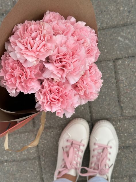 My perfect powder carnations.. Carnations Bouquet, Roses Bouquet Gift, Bouquet Gift, Roses Bouquet, Pink Carnations, Flowers Aesthetic, Rose Bouquet, Roses, Science