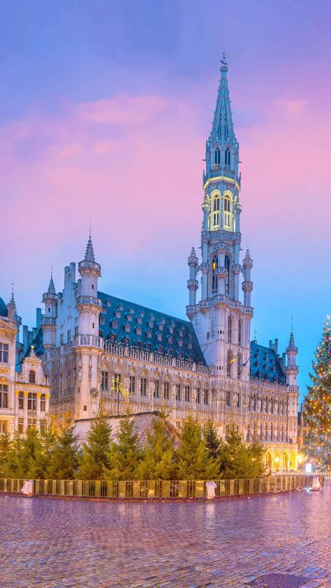 Brussels,Belgium Lana Goddess, Belgium Wallpaper, Belgium Aesthetic, Belgium Travel, Brussels Belgium, Beautiful Castles, Travel Images, Beautiful Place, Amazing Architecture