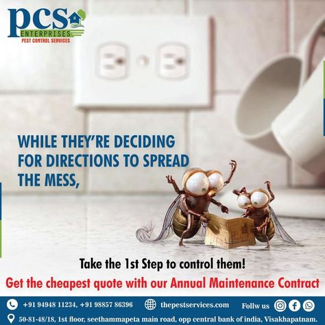 While they're deciding for directions to spread the mess, take the first step to control them! For enquiry pls contact : 9885786396 #fumigation #insects #pestfree #pestcontrolservice #Vizag #visakhapatnam #termitecontrol #fogging #pestmanagement #exterminator #rayap #bugs #mice #pestcontrolcanbecured #pestcontrolkakinada #ants #rodentcontrol #pestcontrol #like #pests #rats #pest #bedbugs #pestcontrolvijayawada Pest Control Funny, Pest Control Advertising, Orkin Pest Control, Rodent Control, Visakhapatnam, Termite Control, Pest Management, Pest Control Services, Take The First Step