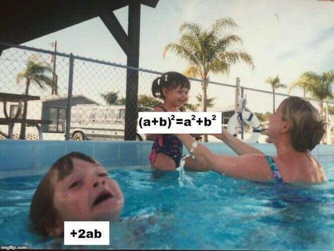 Binomial theorem meme Water Meme, Pool Funny, Comedy Wildlife Photography, Shirley Bassey, Funny Poses, Funny Photoshop, Learn To Swim, Neil Young, Top Memes