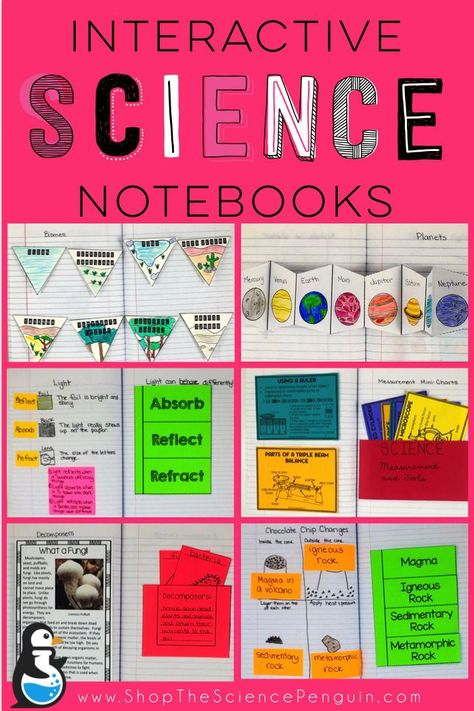 Be ready for Back to School!  Interactive Science Notebooks from The Science Penguin The Science Penguin, Science Penguin, Fourth Grade Science, 7th Grade Science, Science Notebook, 8th Grade Science, Interactive Science, Science Notebooks, 4th Grade Science