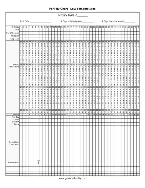 Fertility Awareness: Which Chart Should I Use? Regular, Low Temp, NFP, Conceiving, and more. Fertility Chart, Fertility Cycle, Fertility Tracking, Fertility Awareness Method, Fertility Smoothie, Natural Family Planning, Pregnancy Weight Gain, Fertility Awareness, Mathematical Model