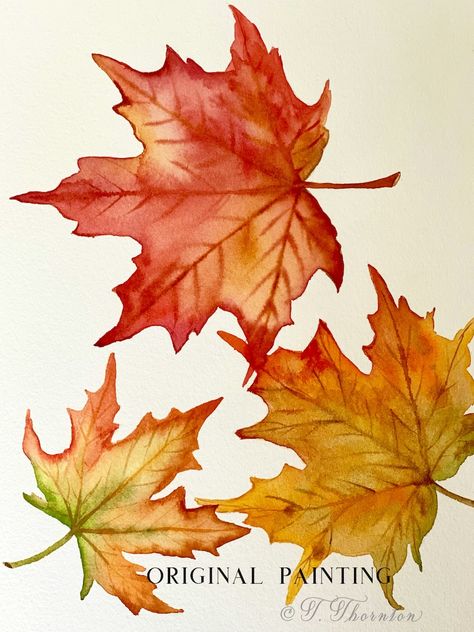 Watercolor Maple Leaves Print - Etsy Maple Leaf Watercolor, Maple Leaf Watercolor Paintings, Autumn Leaves Painting Watercolors, Maple Leaf Tattoos, Maple Leaf Botanical Illustration, Autumn Leaves Watercolor, Watercolor Fall Leaves, Beginner Watercolor, Beginning Watercolor