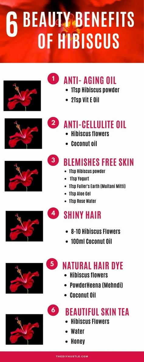 Hibiscus Face Mask Diy, Hibiscus For Skin, Hibiscus Flower Benefits, Hibiscus For Hair, Hibiscus Benefits, Benefits Of Hibiscus, Hibiscus Water, Hibiscus Oil, Hibiscus Tea Benefits