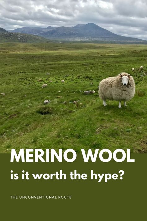 Merino Wool Clothing, Nomad Life, Digital Nomad Life, Packing Ideas, Merino Sheep, Wool Clothing, Wool Shirt, Merino Wool Sweater, Wool Pants