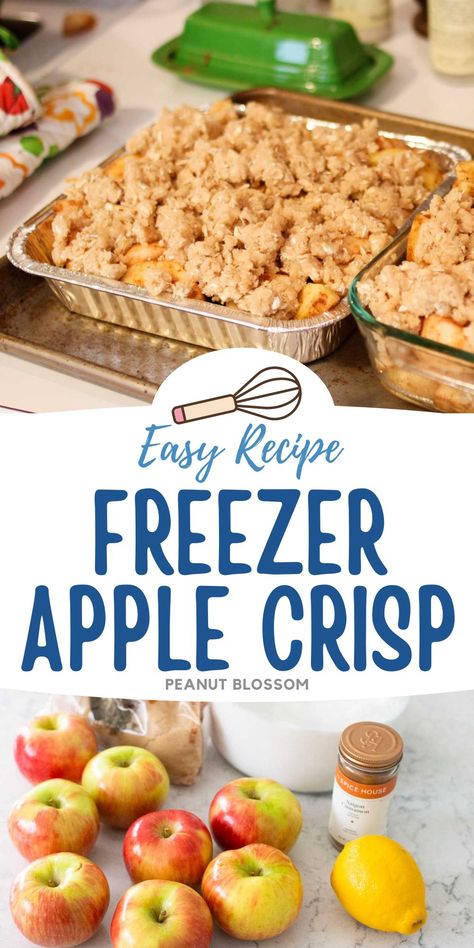 This easy apple crisp recipe is perfect for freezing. Split it in half and make two smaller pans so you have one for dessert tonight and one to save for Thanksgiving or giving to a friend. It's the perfect recipe for baking with kids. Freezing Apple Crisp Filling, Apple Desserts You Can Freeze, Fresh Apple Desserts Easy 3 Ingredients, Freezer Friendly Apple Crisp, Freezer Apple Crisp Filling, Apple Crisp Recipe Freezer, Can You Freeze Apple Crisp, Frozen Apple Crisp, Freezer Apple Crisp Recipe