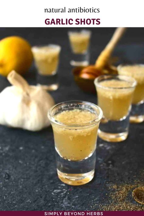 Garlic As An Antibiotic, Garlic Shots, Herbal Preparations, Natural Mosquito Repellent, Tinctures Recipes, Best Cough Remedy, Garlic Health Benefits, Garlic Juice, Garlic Benefits