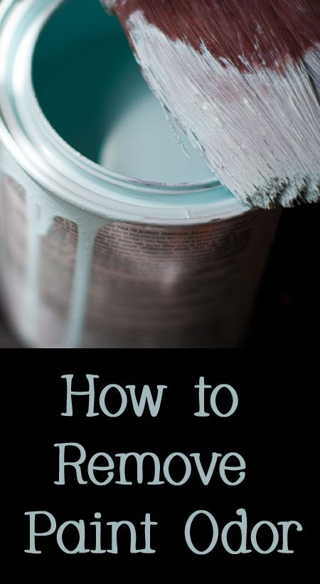 photo courtesy of Robert S. Donovan flickr.com/photos/booleansplit/6021868900 How To Get Rid Of Paint Smell In House, How To Remove Paint, Odor Absorber, Paint Smell, Remove Paint, Wooden Cupboard, Gallon Of Paint, Easy Cleaning Hacks, Room Smells