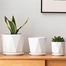 Amazon.com Shopping Cart Modern Planters Indoor, Planter Outdoor, Indoor Flower Pots, Flower Pot Design, Small Flower Pots, Large Flower Pots, Decorated Flower Pots, Flower Pots Outdoor, White Plants