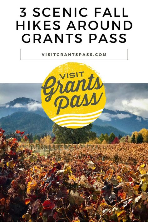 A title card reads "3 Scenic fall hikes around Grants Pass", a small rivertown in Southern Oregon. Go to Visitgrantspass.com to learn more. An image of fall colors in the local vineyards is on the title card. Fall Hikes, Grants Pass Oregon, Grants Pass, River Trail, Trekking Poles, Fall Hiking, Fish Ponds, Mountain Trails, Day Hike