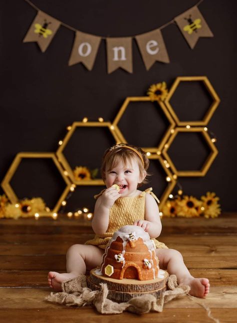 First Bee Day Photoshoot, Bee Photoshoot, Bumble Bee Cake, Fruit Birthday Party, Bumble Bee Birthday, Bee Birthday Party, Fruit Birthday, Bee Cakes, Photography Mini Sessions