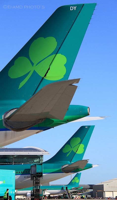 EI, Aer Lingus Airlines Branding, On The Wings Of Love, Aer Lingus, Commercial Plane, Dublin Airport, Airline Logo, Passenger Aircraft, Flight Tickets, Singapore Airlines