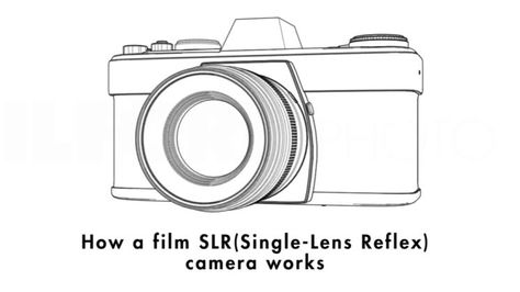 This neat animation shows how a Single Lens Reflex camera works Single Lens Reflex Camera, Reflex Camera, Photo Board, It Works