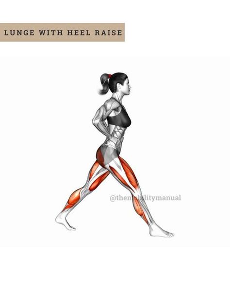 Knee Pain | Hip Pain | Relief on Instagram: "KNEE PAIN? 👇🏾
 
These moves are gentle on the joints while still providing an effective workout.
 
⭐️ Leg raises
⭐️ Lunge with heel raise
⭐️ Down dog to squat
⭐️ Narrow Lunge with Wall Support
⭐️ Wall chair with heel raises
⭐️ Side-kick
⭐️ Chair swings
⭐️ Chair-to-toe stand
 
——————
CHECK OUT BIO LINK 🔗 for:
📖 Full-Body Mobility Program💥
——————
 
Tag someone who needs to see this ❤️
 
——————
Great post by @themobilitymanual
——————
#ptvitals #kneepainaid #jointhealth #mobilitytraining #exercisetips #movementismedicine #functionalmovement #kneepain #kneepainrelief #kneepainexercises #kneeexercises #kneemobility" Mobility Program, Chair Swings, Wall Chair, Hip Pain Relief, Knee Pain Exercises, Side Kick, Support Wall, Knee Exercises, Knee Pain Relief