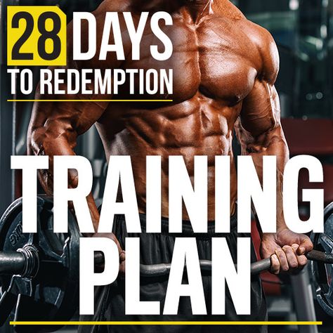 Body Building Training Programs, Men’s Weight Training, Training Program, Total Body Workout Plan, Best Hiit Workout, Bodybuilding Routines, Muscle Gain Workout, Lifting Programs, Weight Training Plan