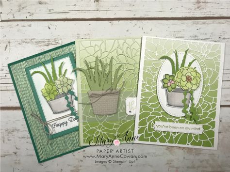 Craft Paper Storage, Bloom Where Youre Planted, Sunflower Cards, Stampin Up Christmas Cards, Beautiful Handmade Cards, Succulent Arrangements, Blog Inspiration, Paper Artist, Fun Fold Cards