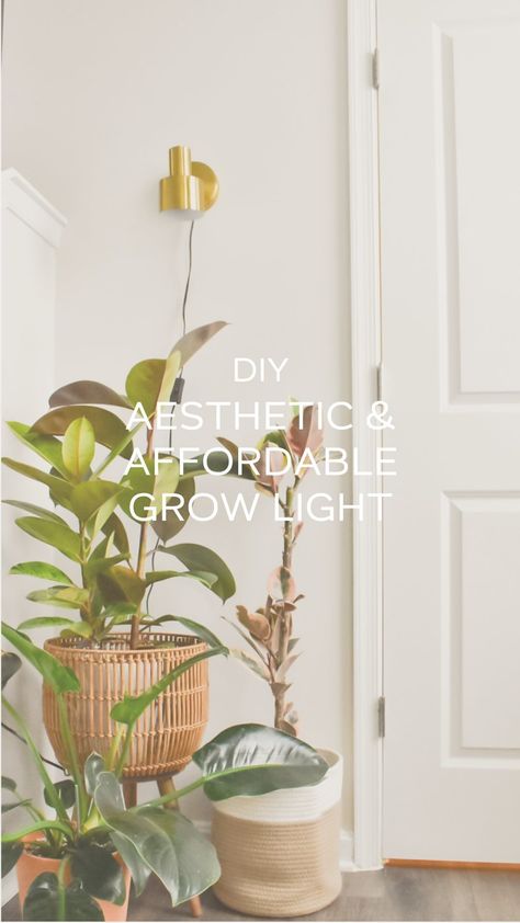 This is my go to way to add grow lights around my house in an affordable & aesthetic way. It only takes a few minutes to set up and it… | Instagram Cute Grow Light Setup, Diy Grow Light Indoor Plants, Aesthetic Grow Light Set Up, Aesthetic Grow Light, Grow Light Set Up, Plant Lights Indoor Setup, Plant Lamps, Plant Lights, Indoor Tree