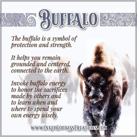 Spirit Symbols, Animal Totem Spirit Guides, Native American Zodiac, Pergola Planter, Spirit Animal Meaning, Totem Animals, Animal Meanings, Spirit Animal Totem, Buffalo Bison