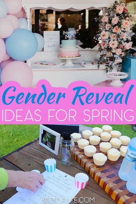 Cool gender reveal ideas for spring can help you announce the gender of your newborn to family and friends safely. Gender Reveal Party Ideas | Food for Gender Reveals | Games for Gender Reveals | Ways to Reveal the Gender | Tips for New Parents | Newborn Party Ideas | Gender Reveal Party Tips | Gender Reveal for Girls | Gender Reveal for Boys | Spring Party Ideas | Spring Baby Shower Ideas #genderreveal #partyideas via @thebestoflife Gender Reveal Party Ideas Food, Cool Gender Reveal, Cool Gender Reveal Ideas, Easter Themed Gender Reveal, Easter Gender Reveal Party, Spring Baby Shower Ideas, Spring Party Ideas, Unique Gender Reveal Party Ideas, Newborn Party