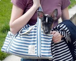 13 DIY Dog Travel Accessories To Make Your Next Outing Effortless - BARK Post Dog Carrier Pattern, Diy Dog Bag, Carrier Pattern, Dog Travel Accessories, Dog Carrier Bag, Biking With Dog, Dog Bag, Travel Diy, Diy Dog