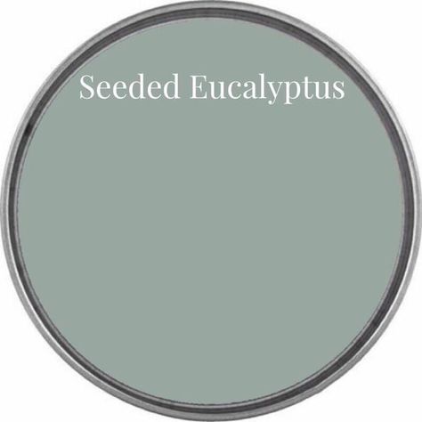 SEEDED EUCALYPTUS One Hour Enamel paint – Thirteen Furniture Co. Wise Owl Paint, Seeded Eucalyptus, Paint Swatches, Interior Paint Colors, Wise Owl, Enamel Paint, Paint Colors For Home, Green Paint, Flipping Furniture