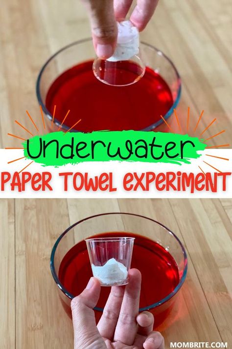 Paper Towel Water Experiment, Veterans Day Science Experiment, Science Art Projects For Kids Preschool, Paper Towel Science Experiment, Harvest Science Preschool, Oil And Water Experiments For Kids, Water Exploration Preschool, Sensory For Kindergarten, Wet And Dry Activities For Preschoolers