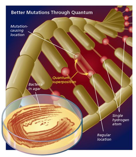 Category Theory, The Singularity, Quantum World, Hydrogen Atom, Metaphysical Spirituality, Evolutionary Biology, Genetic Engineering, Physics And Mathematics, Quantum Computer