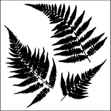 Fern Tattoo, Scrapbooking Tools, Stencil Template, Stippling, Arts And Crafts Supplies, Amazon Art, Painting Crafts, Fern, Paper Art