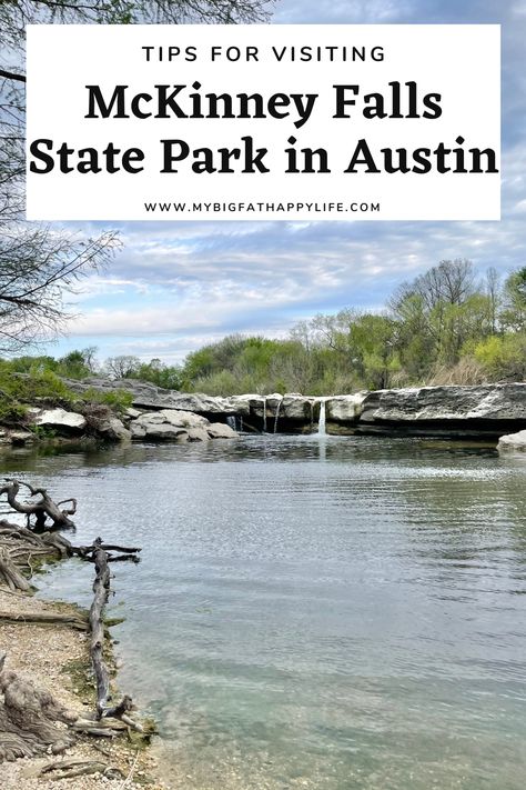 Mckinney Falls State Park, Bald Cypress Tree, Texas State Parks, Bald Cypress, Fall Hiking, Cypress Trees, Going Fishing, Texas Travel, Bike Trails