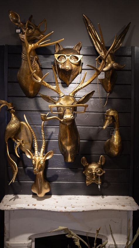 Dandy Home & Ranch | Take a look at our new animal head wall mount section! These dignified creatures are an all time favorite in our shop! They are perfect for... | Instagram Deer Heads On Wall Ideas, Faux Animal Heads On Wall, Animal Heads On Wall, Faux Animal Head, Deer Heads, Head Display, Animal Head Wall, Animal Head, Deer Head