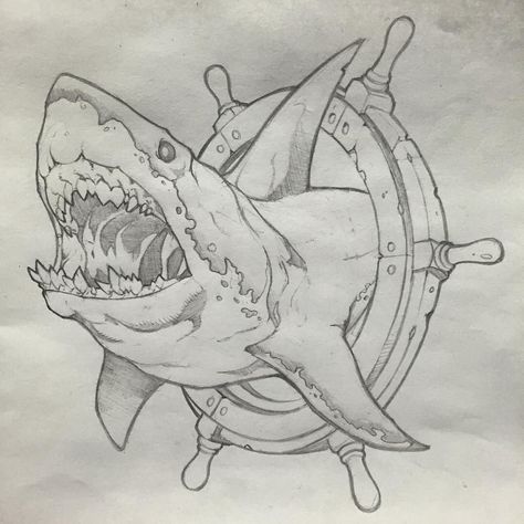 . Tier Tattoo, Shark Drawing, Shark Art, Shark Tattoos, Desenho Tattoo, Animal Sketches, Tattoo Design Drawings, Animal Tattoos, Illustration Vector