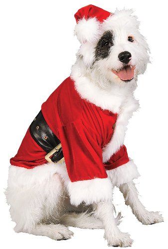 Rubies Costume Christmas Collection Pet Costume, Santa Claus, Large - http://www.thepuppy.org/rubies-costume-christmas-collection-pet-costume-santa-claus-large/ Elf Outfit Ideas, Dog Christmas Costumes, Cute Dog Outfits, Cool Christmas Nails, Dog Swag, Target Outfits, Christmas Elf Outfit, Dog Luxury, Elf Outfit