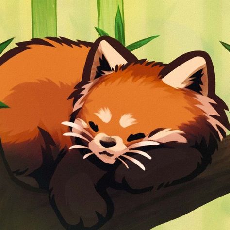 Panda Matching Pfp, Cartoons Aesthetic, Trio Matching Pfp, Panda Icon, Red Panda Cute, Trio Matching, Panda Drawing, Wallpaper Cartoon, Bear Panda