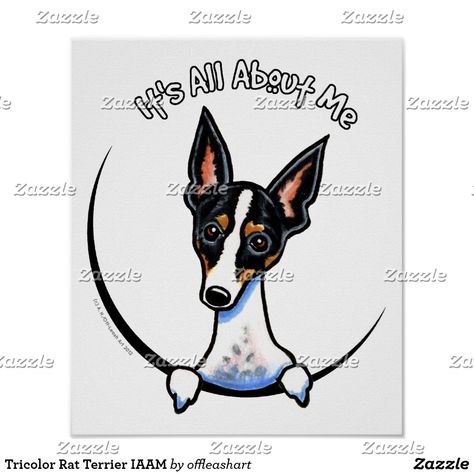 Tricolor Rat Terrier IAAM Poster Rat Terrier Dogs, Funny Rats, Toy Fox Terriers, Rat Terrier, Rat Terriers, Bull Terrier Dog, American Pitbull Terrier, Fox Terrier, Dog Drawing