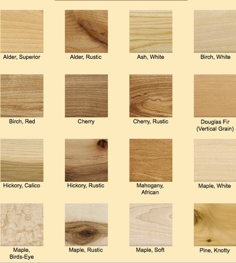 wood species chart Wood Identification Chart, Wood Species Chart, Woodworking Clock Projects, Wood Identification, Different Kinds Of Wood, Wood Floor Texture, Wood Scraps, Wood Sample, Wooden Wall Clock