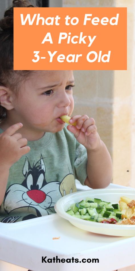 In this post we're going to talk about real Food My 3-Year Old Eats. Plus creative ways I get him to eat more real food Vegetables For Picky Eaters, Diets For Picky Eaters, Food For Children, Picky Eaters Dinner, Toddler Picky Eater, Picky Toddler Meals, Hidden Vegetables, Picky Toddler, Healthy Baby Food