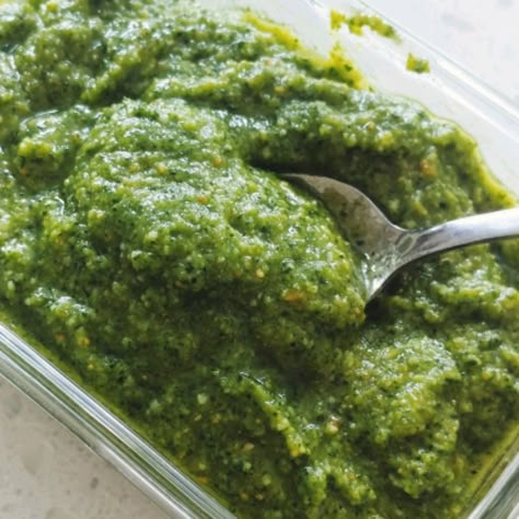 Jalapeno Pesto Recipe, Jalapeno Pesto, Food Processor Ideas, Spinach Basil Pesto, Garlic Scape Pesto, Tan Kitchen, Homemade Pesto Recipe, Kitchenaid Food Processor, Pesto Recipes