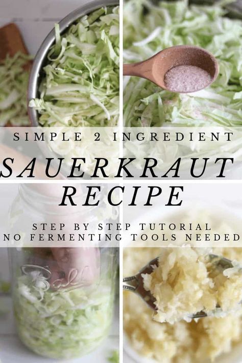 Learn how to make delicious fermented vegetables with this simple 2 ingredient sauerkraut recipe.  Incorporating sauerkraut into your daily routine can promote healthy gut flora and overall wellness. #sauerkraut #howtomakesauerkraut #fermentedfoods #homemadefermentedfoods Fermenting Vegetables, Making Sauerkraut, Sauerkraut Recipe, Fermenting Weights, Fermented Cabbage, Sauerkraut Recipes, Fermented Vegetables, Gut Flora, Gaps Diet