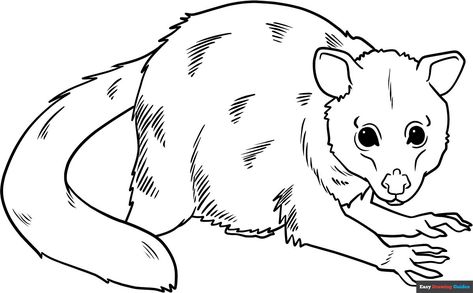 Free, printable Possum coloring page for kids. Print it out or color it online. https://easydrawingguides.com/coloring-pages/possum/ Popular Cartoons, Bear Coloring Pages, Printable Coloring Sheets, Coloring Tutorial, Drawing Tutorial Easy, Guided Drawing, Free Printable Coloring, Free Printable Coloring Pages, Step By Step Drawing